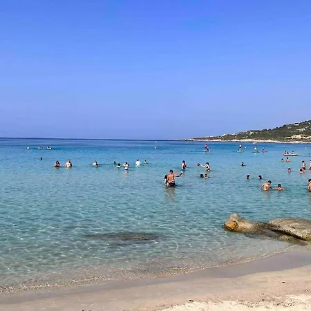 Un Havre De Paix Entre Et Montagne A Sant'ambroggio Appartement Lumio (Corsica)